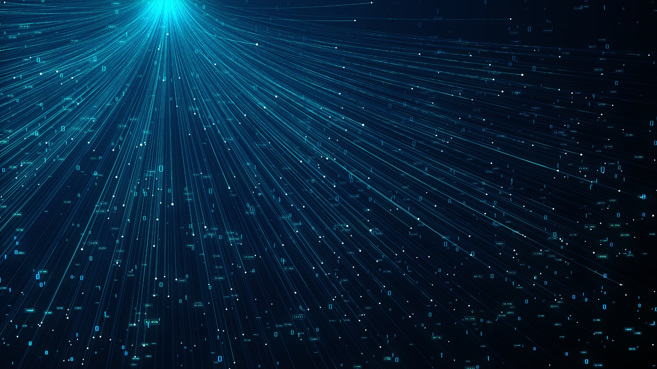 Digital network visualization